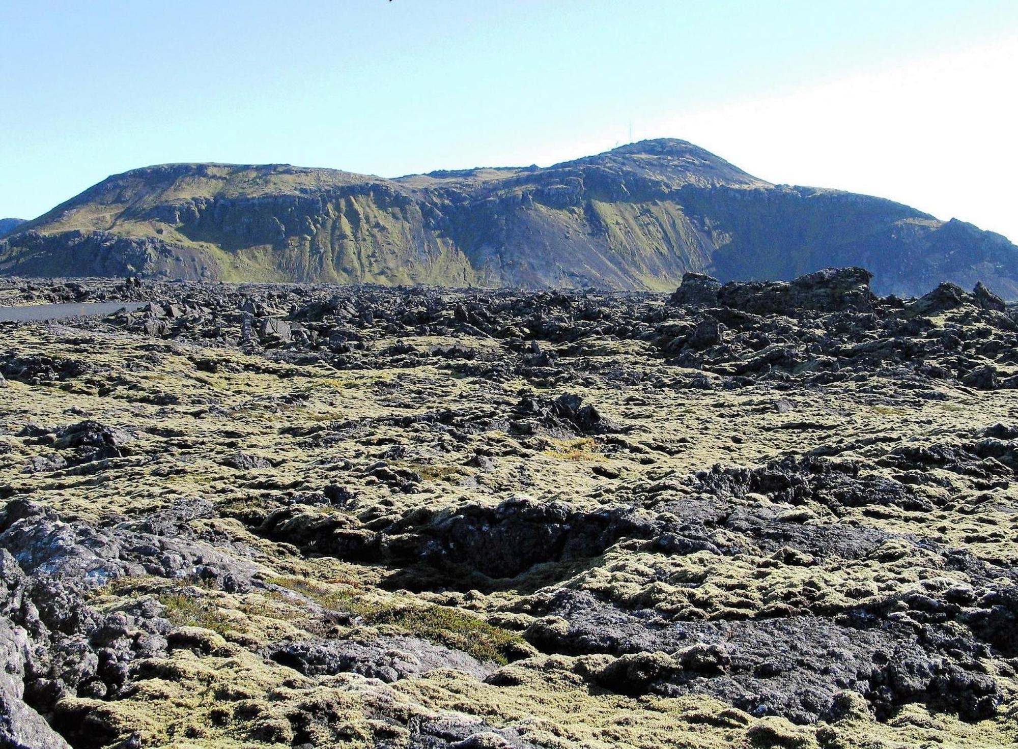 Reykjanes Guesthouse Grindavík Buitenkant foto